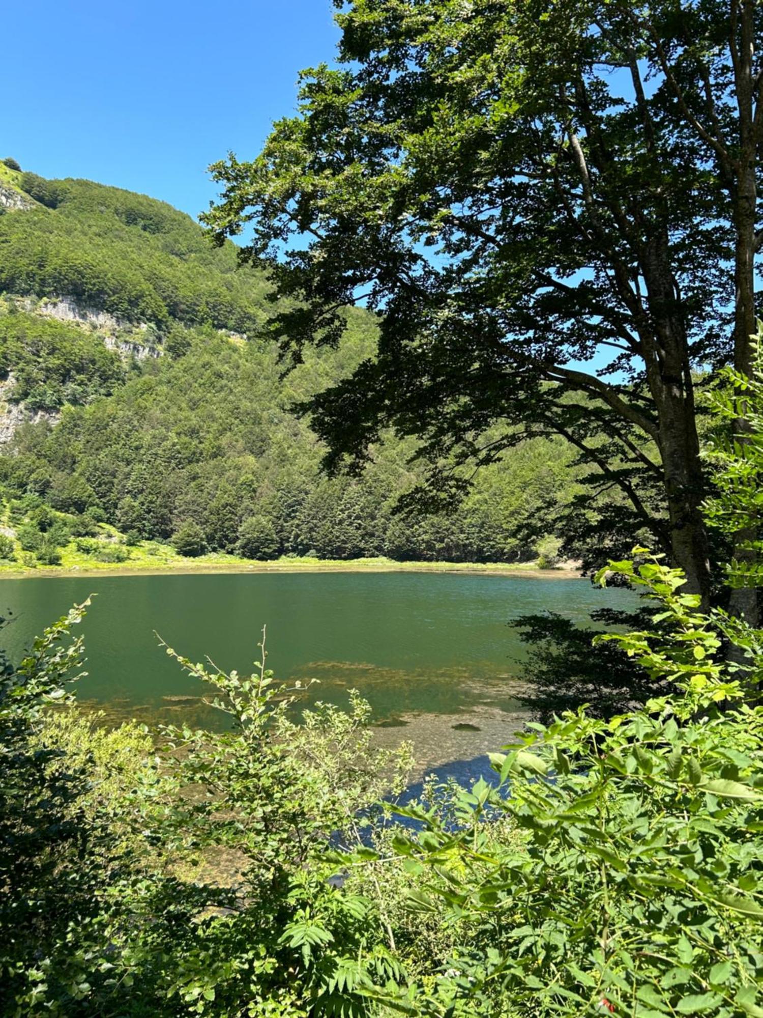 Apartament Da Cinzia Pievepelago Zewnętrze zdjęcie
